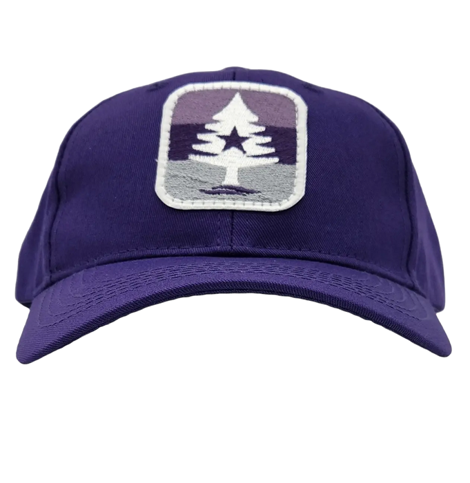 Youth Mauve Stripe 7 Twill Hat SHOP ROGUE WEAR Hats Color-Purple